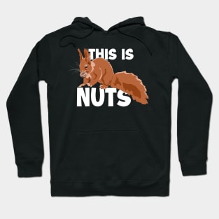 This Is Nuts Japanese Fox Eastern Gray Squirrel Hoodie